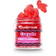 Candy Club Crayola Pink Flamingo Gummies Sale