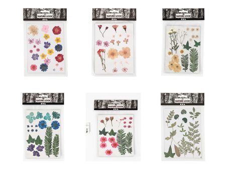 Creativ Pressed Flowers & Leaves 6pc Bundle For Sale