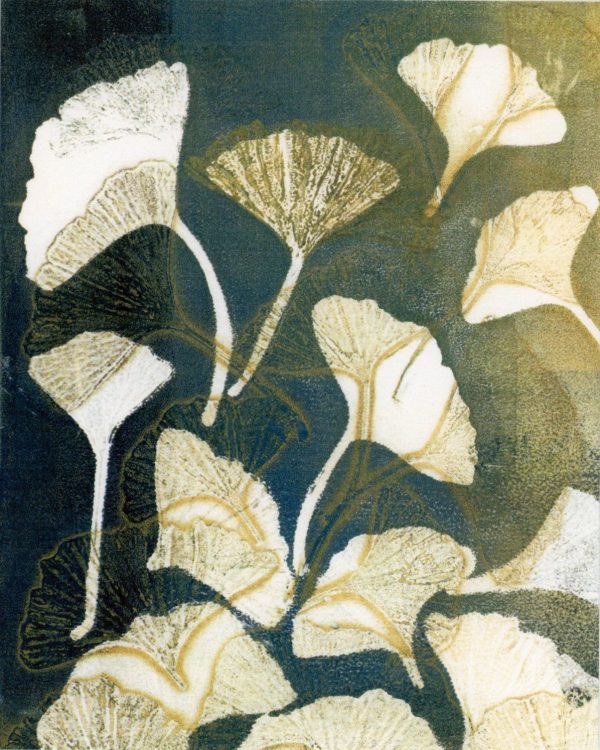 Ginkgo Botanical Notecards Online