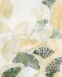 Ginkgo Botanical Notecards Online