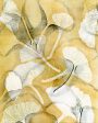 Ginkgo Botanical Notecards Online