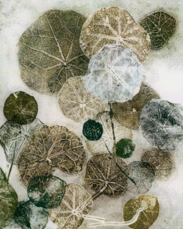 Nasturtiums: Botanical Notecards Online