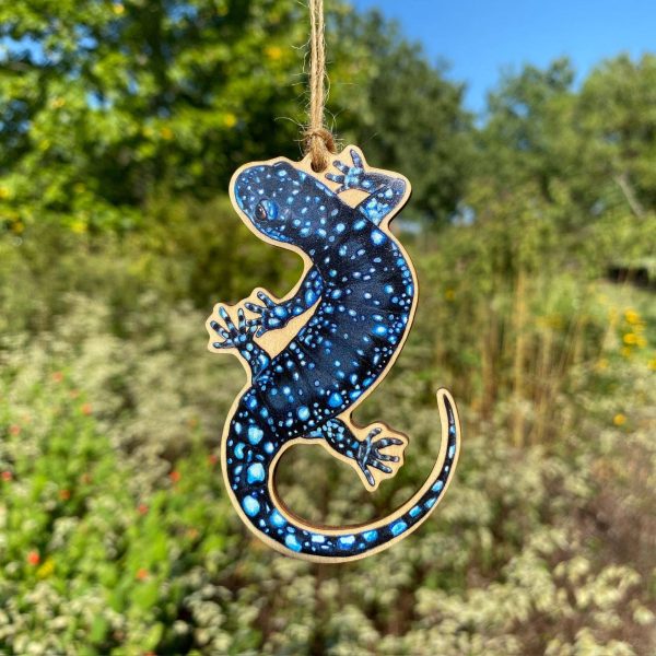 Blue-Spotted Salamander Wood Print Ornament Online Hot Sale