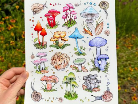 Mushrooms and Snails Print (8”x10”) Cheap