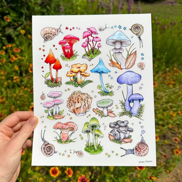 Mushrooms and Snails Print (8”x10”) Cheap