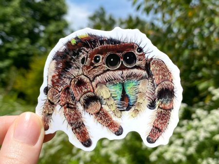 Jumping Spider Vinyl Sticker (Brown) Online