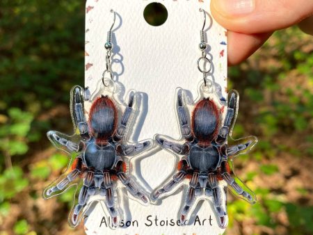 Tarantula Acrylic  Earrings Hot on Sale