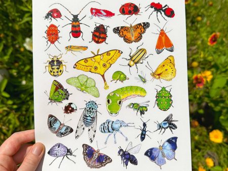 Rainbow Insects Print (8 x10 ) For Cheap