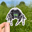 Bold Jumping Spider Sticker (Black) Online Sale