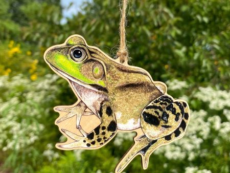 American Bullfrog Wood Print Ornament Hot on Sale