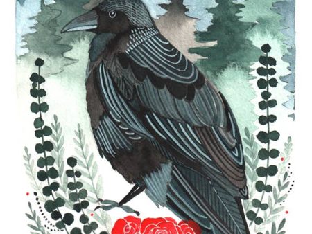 Crow with Roses Art Print (8  x 10 ) Cheap