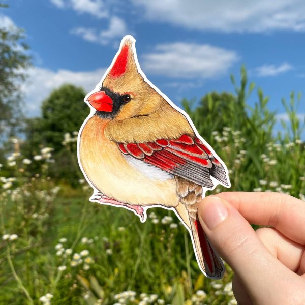 Female North American Cardinal Sticker Fashion