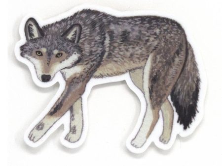 Gray Wolf Sticker Hot on Sale