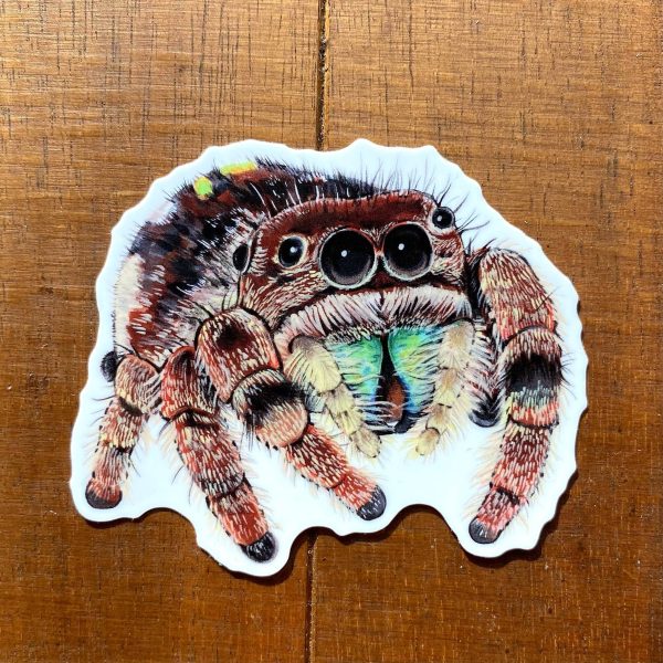 Jumping Spider Vinyl Sticker (Brown) Online