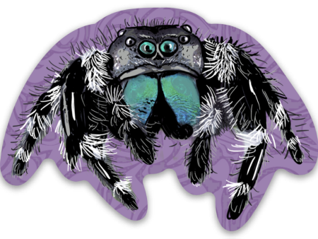 Jumping Spider on Purple Vinyl Sticker Discount