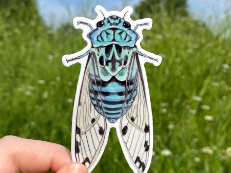 Zammara Cicada Sticker (blue) Hot on Sale