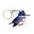 Female Belted Kingfisher Double-Sided Acrylic Keychain Discount