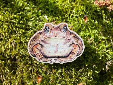 Fowler s Toad Wooden Pin Supply