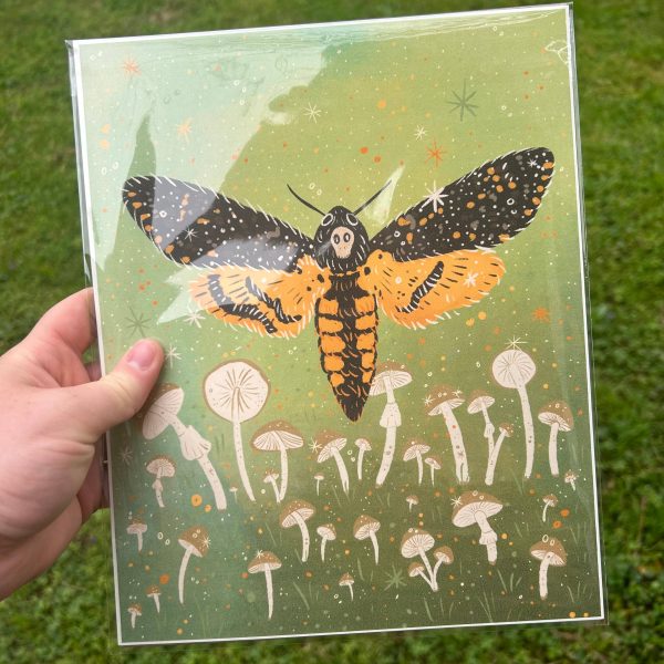 Death s Head Moth Art Print (8  x 10 ) Online Sale