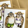 Love That We Hate All The Same Things Owls Love Card For Discount