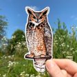 Great Horned Owl Vinyl Sticker Supply