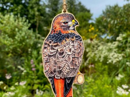 Red-Tailed Hawk Wood Print Ornament Discount