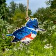 Female Belted Kingfisher Bird Wood Print Ornament Cheap