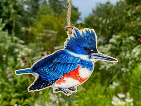 Female Belted Kingfisher Bird Wood Print Ornament Cheap